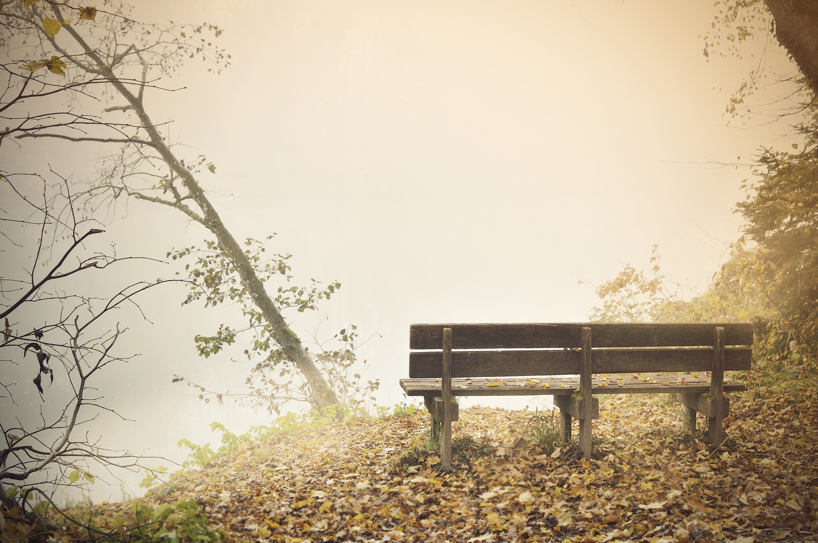 Bank im Nebel