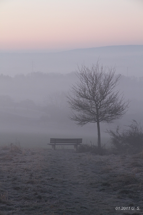 Bank im Nebel