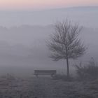 Bank im Nebel