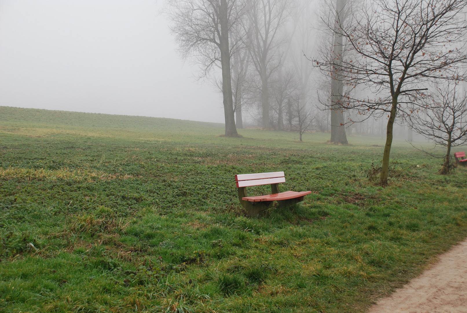 Bank im Nebel