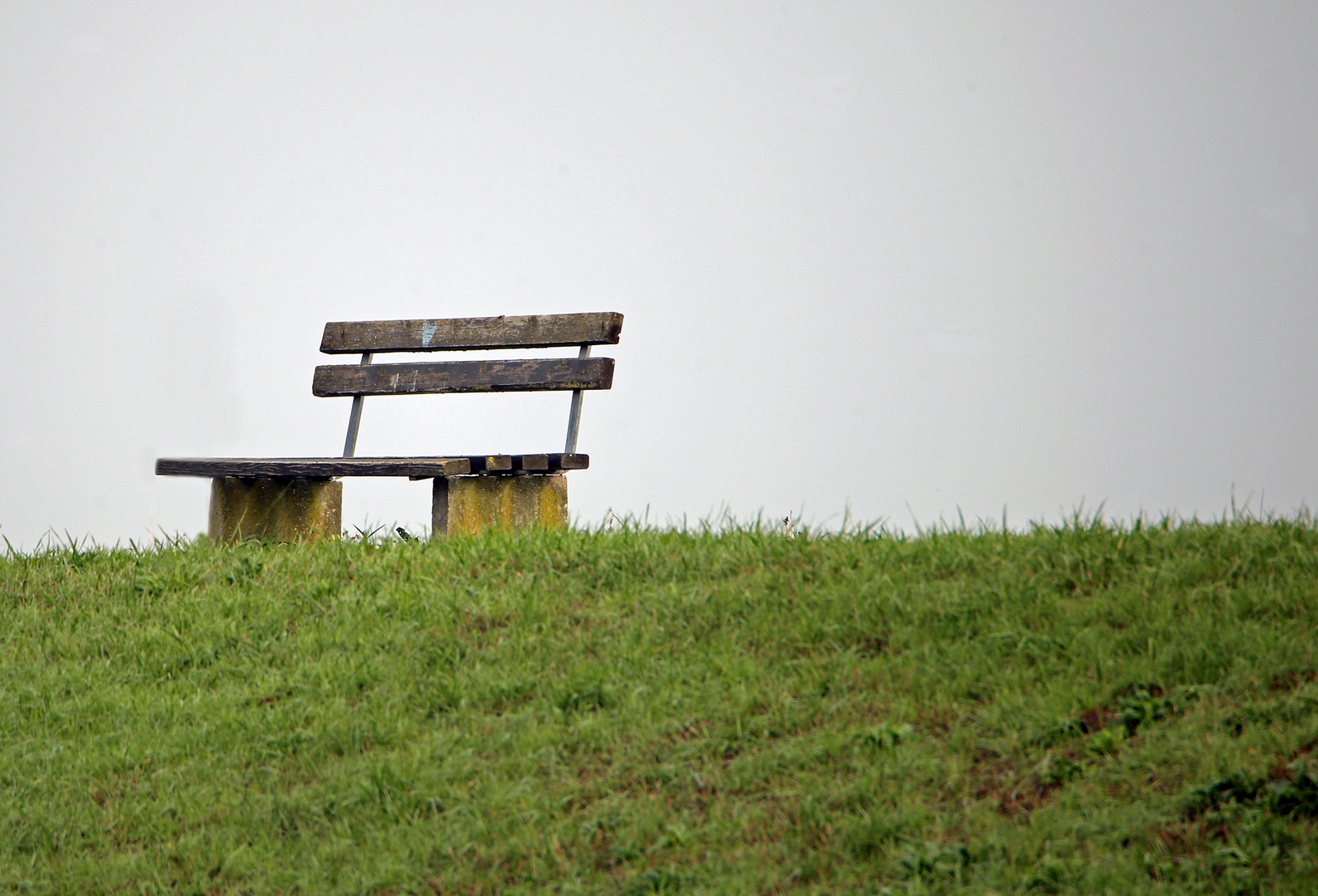 Bank im Nebel = Nebelbank?