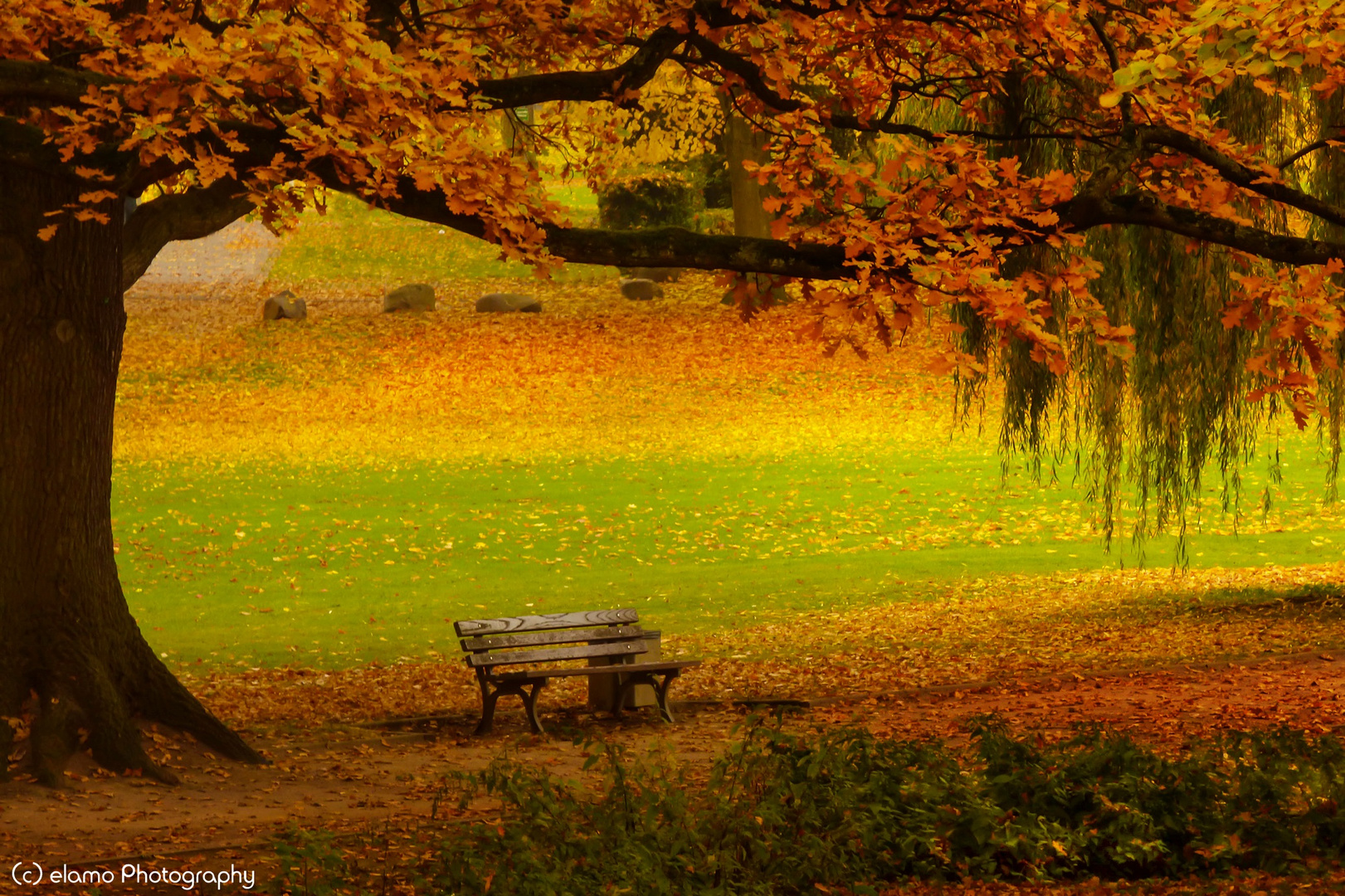 Bank im Park