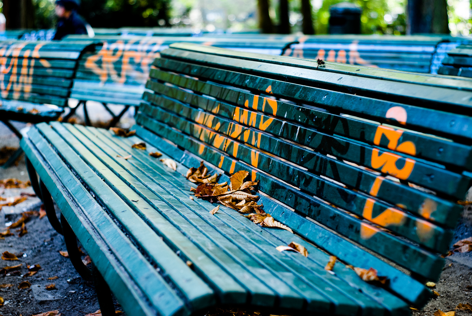 Bank im Park im Herbst