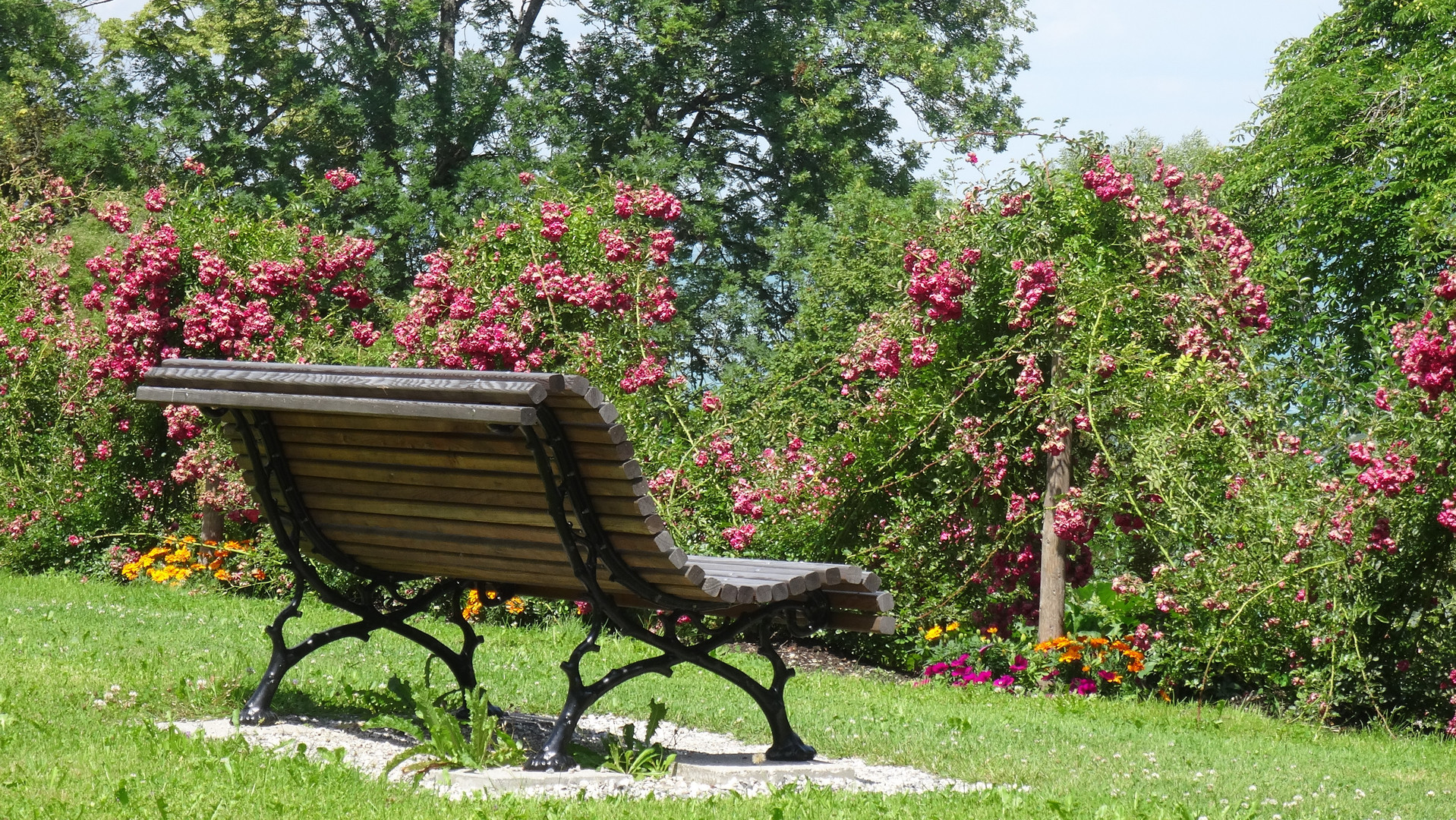 Bank im Rosengarten 