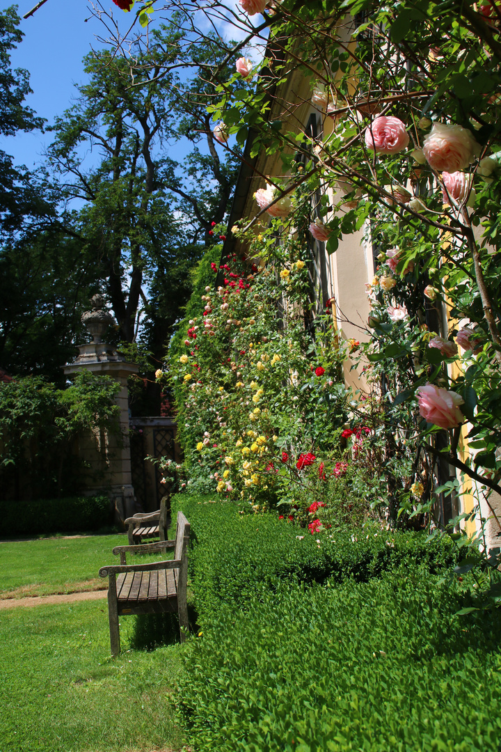 Bank im Schlosspark Dennenlohe