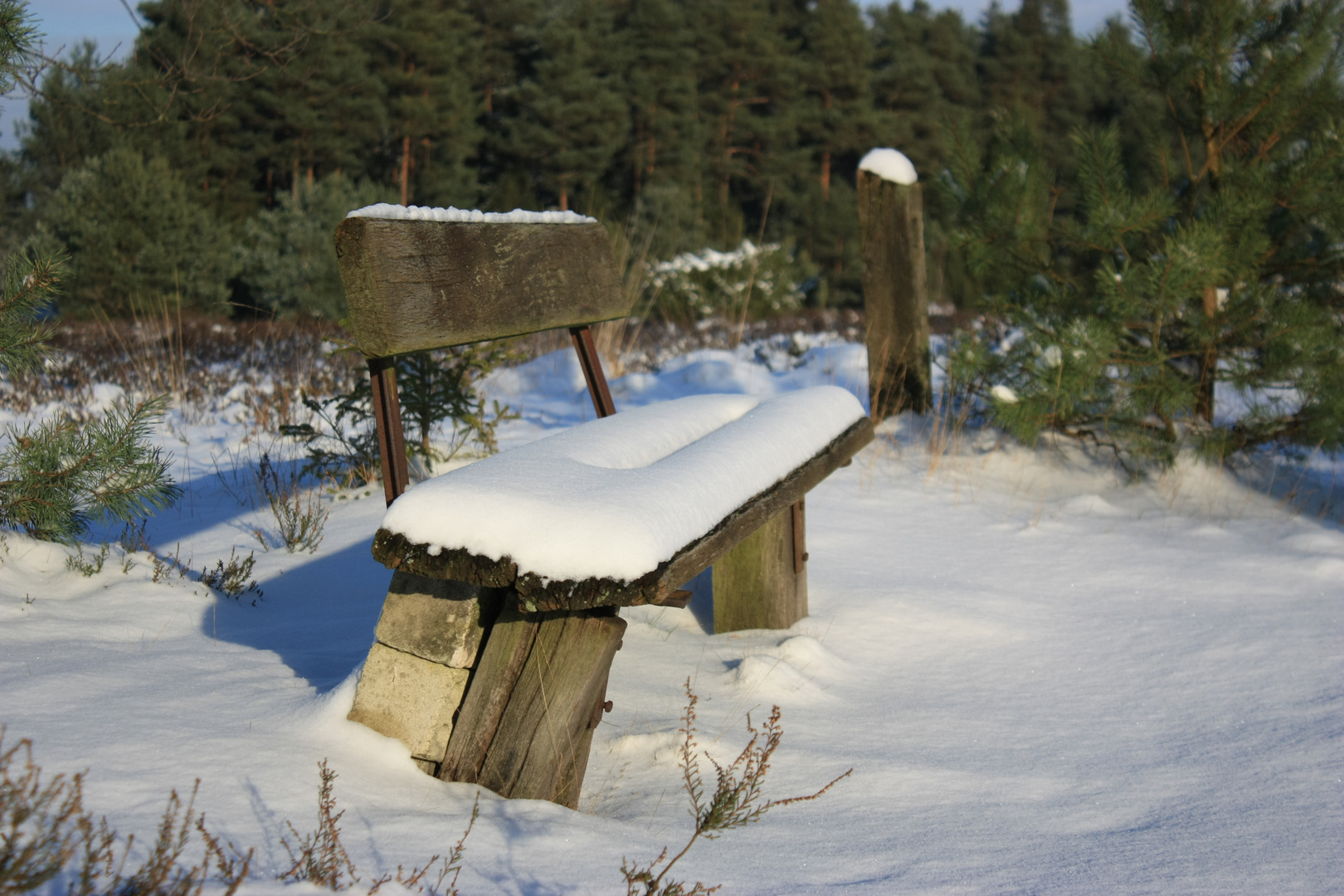 Bank im Schnee