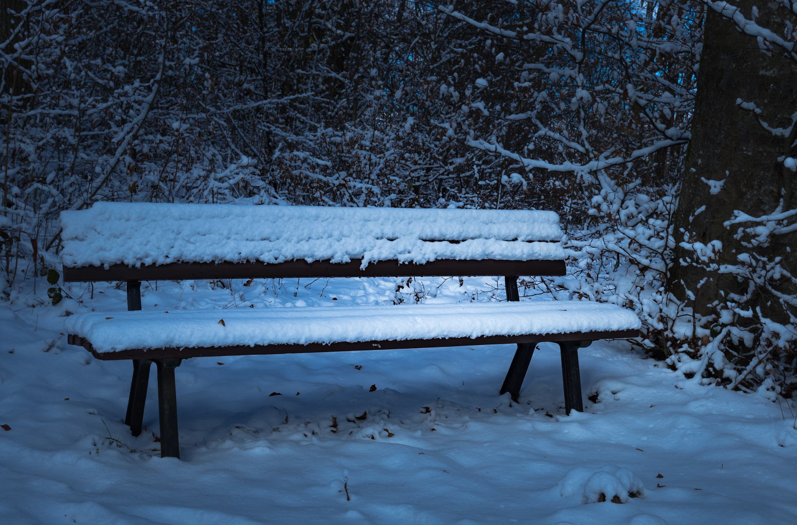 bank im Schnee