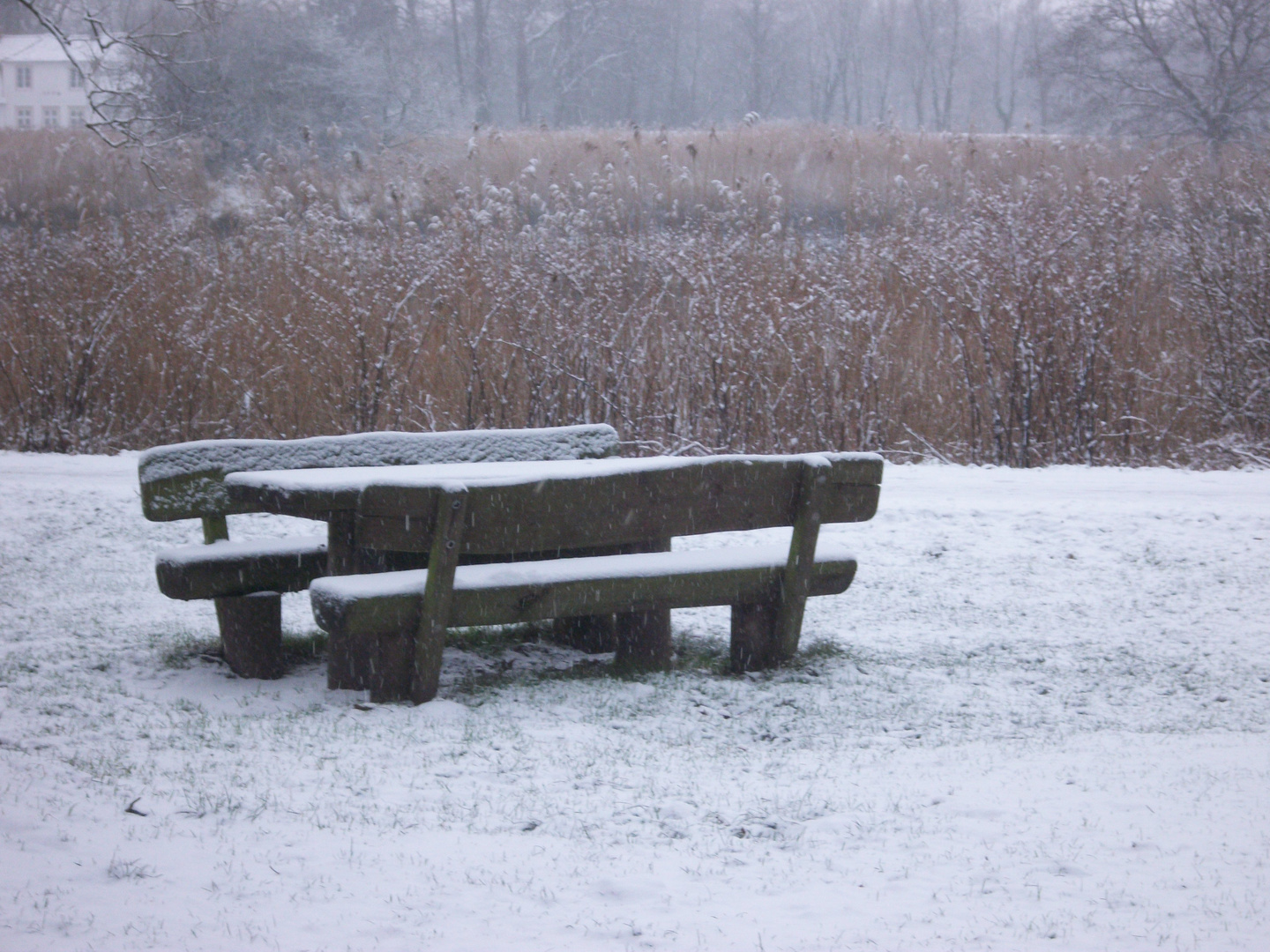 bank im schnee