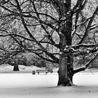 bank im schnee