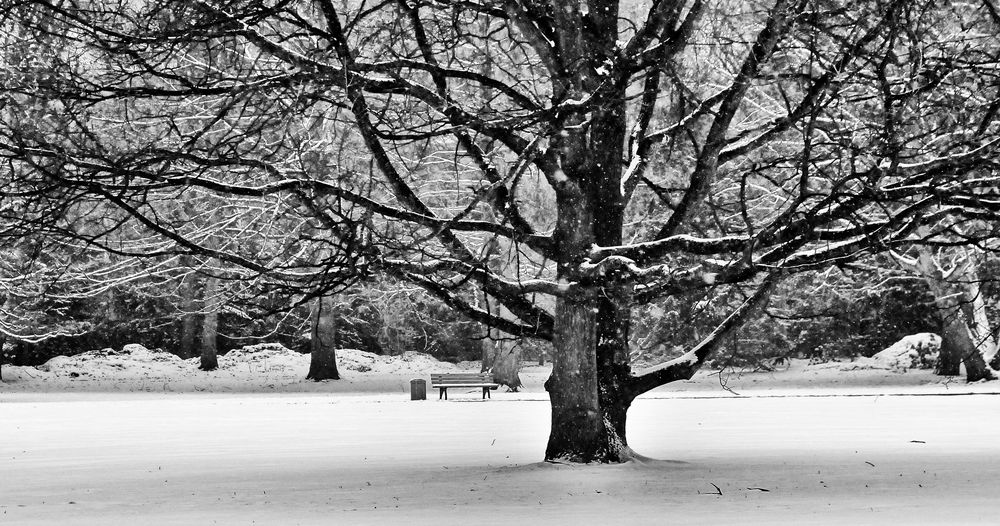 bank im schnee