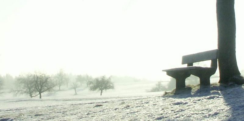 Bank im Schnee