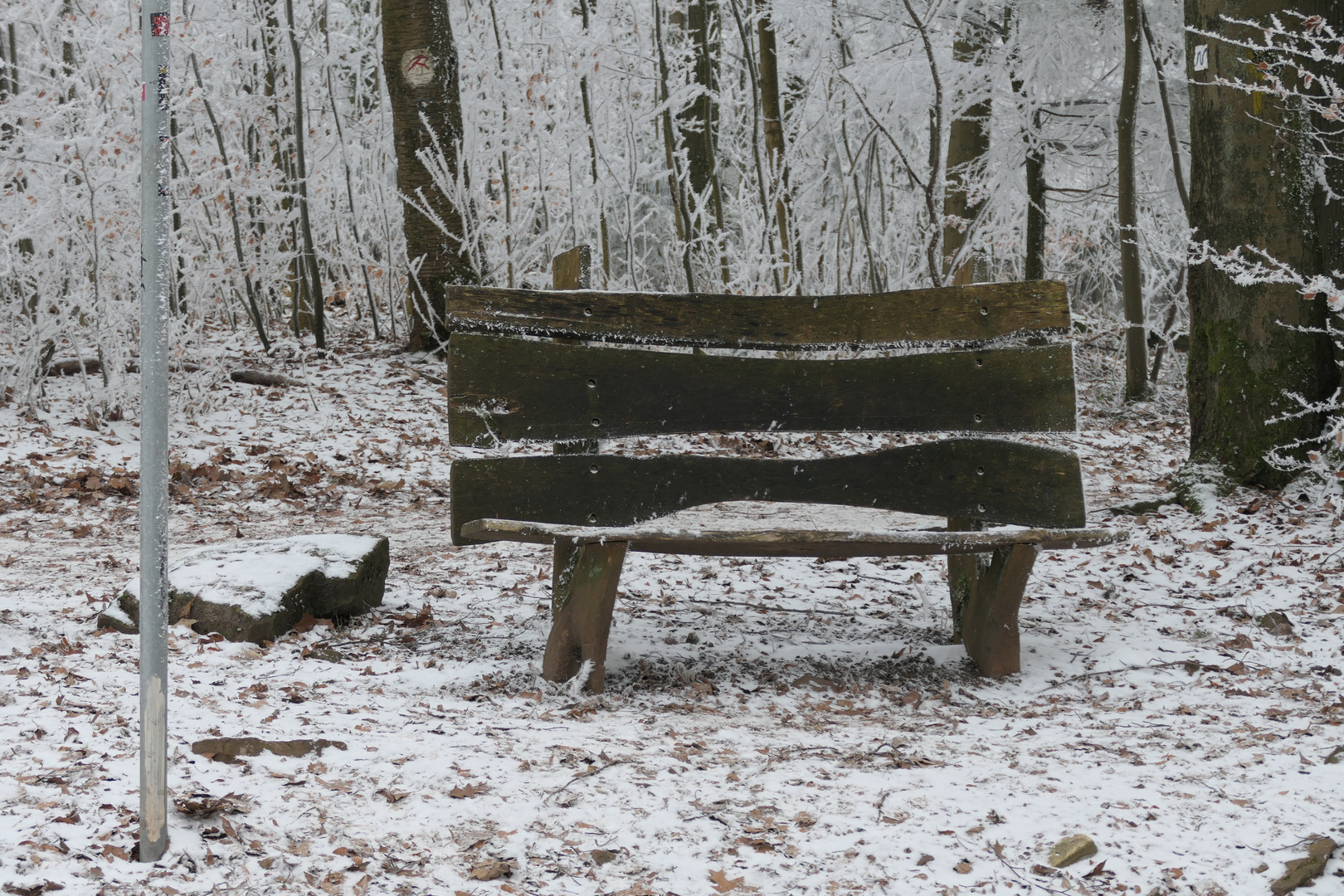 Bank im Schnee