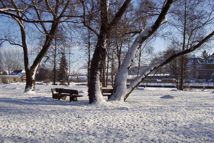 Bank im Schnee