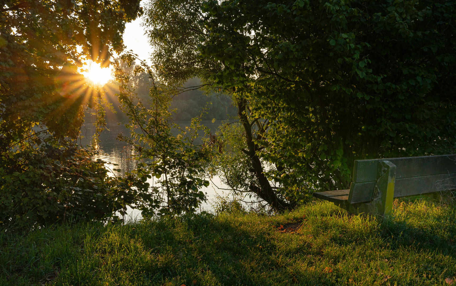 Bank im Sonnenaufgang