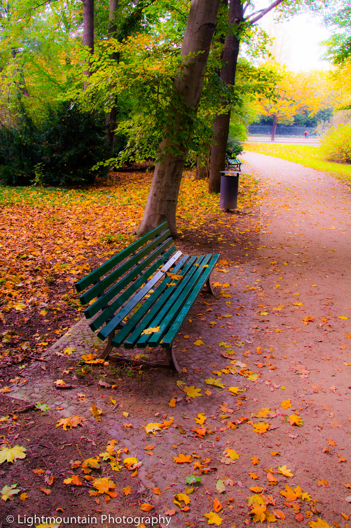 Bank im Tiergarten - Herbstblätter