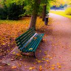 Bank im Tiergarten - Herbstblätter