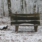 Bank im verschneiten Wald