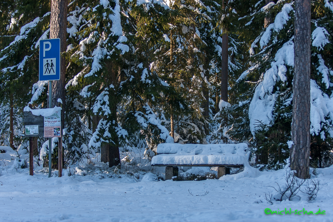 Bank im verschneiten Wald (Holzbach, TIR)