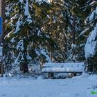 Bank im verschneiten Wald (Holzbach, TIR)