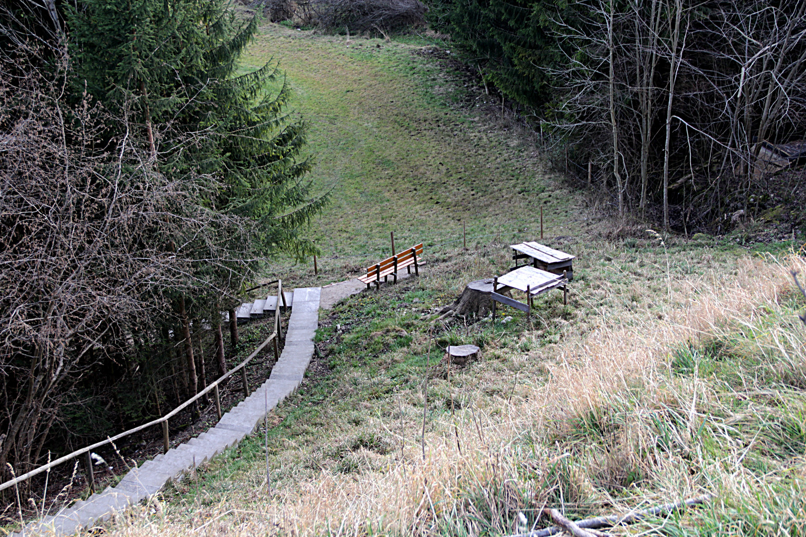 Bank im Wald