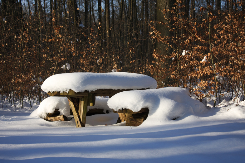 Bank im Wald: Ganz hübsch mit dem Schnee - aber langsam reicht's