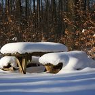 Bank im Wald: Ganz hübsch mit dem Schnee - aber langsam reicht's...