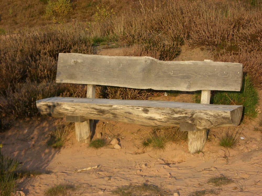 Bank In Der Heide Foto Bild Sonstiges Natur Bilder Auf