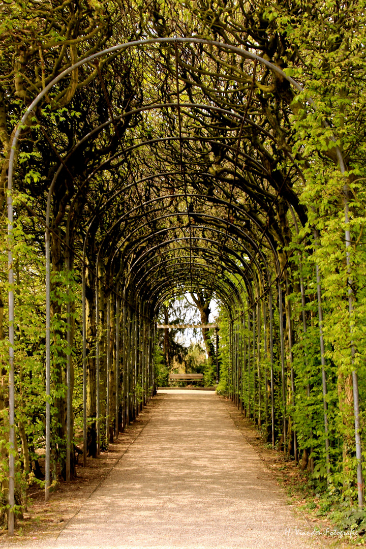 Bank in der Kölner Flora