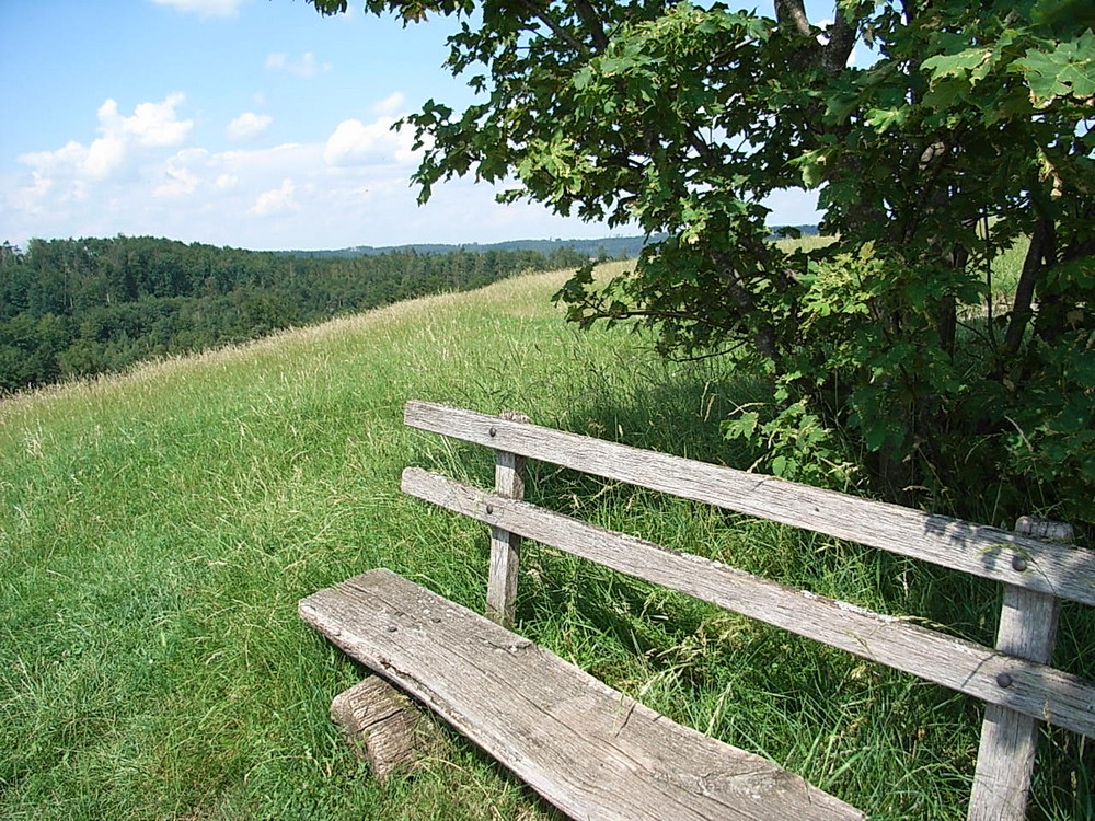 Bank in der Landschaft