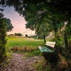 Bank in der Landschaft 