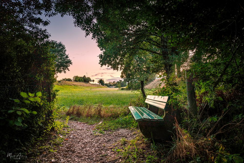 Bank in der Landschaft 