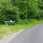 Bank in der Landschaft mit Ballons