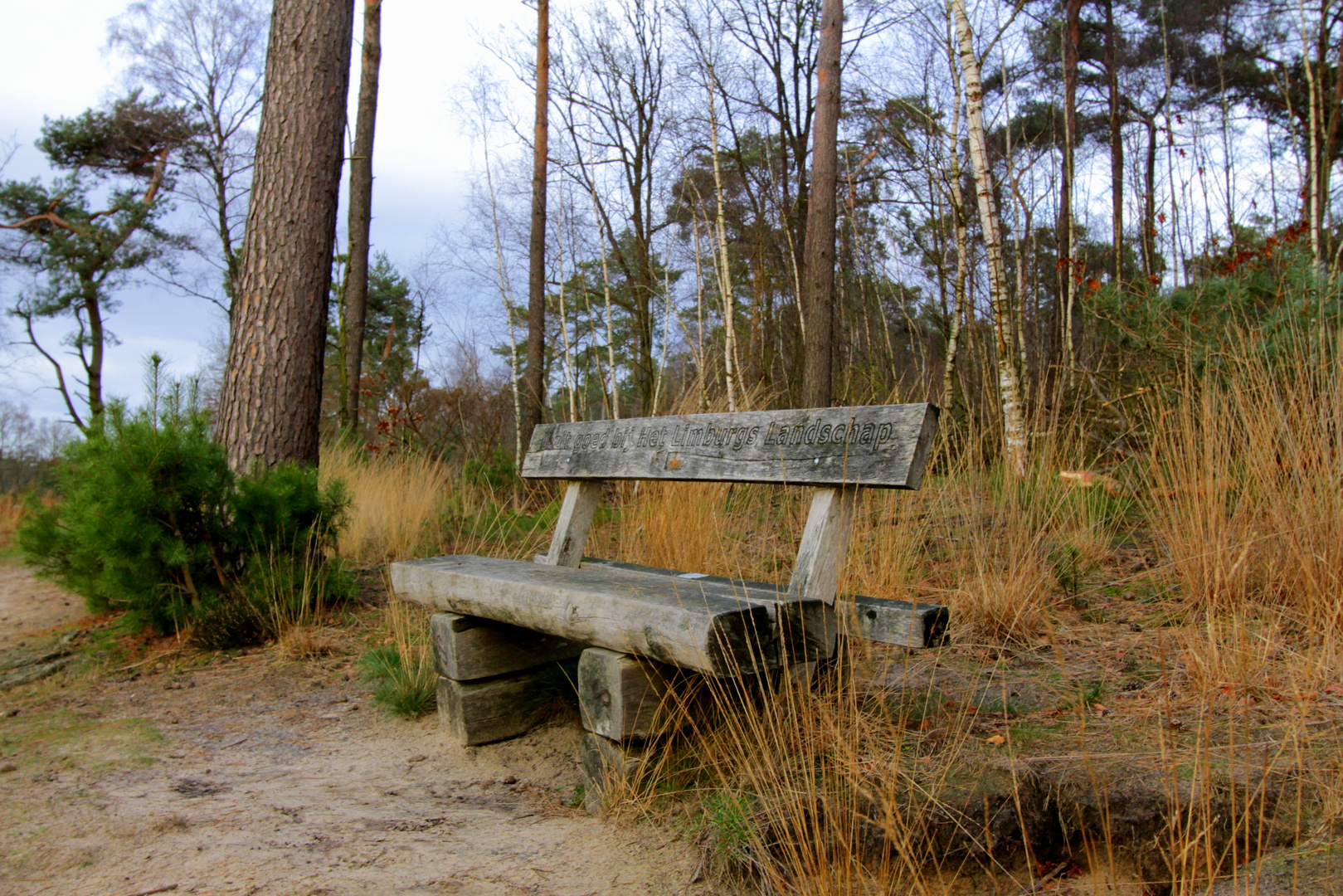 Bank in der Natur