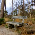 Bank in der Natur