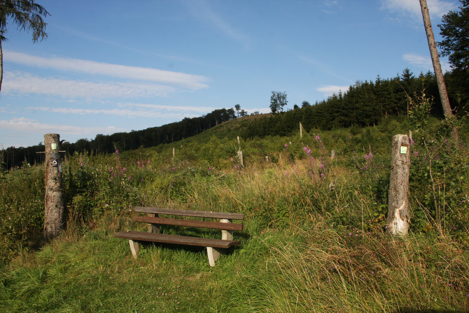 Bank in der Natur am Rundwanderweg Beckum