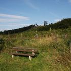 Bank in der Natur am Rundwanderweg Beckum