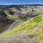 Bank in Spiekerooger Dünenlandschaft