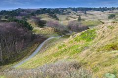 Bank in Spiekerooger Dünenlandschaft