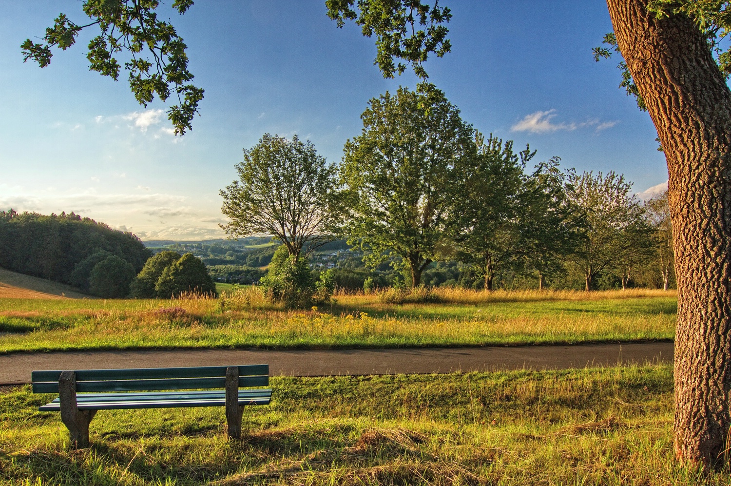 Bank mit Aussicht 