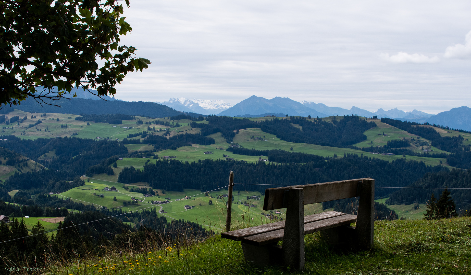 Bank mit Aussicht