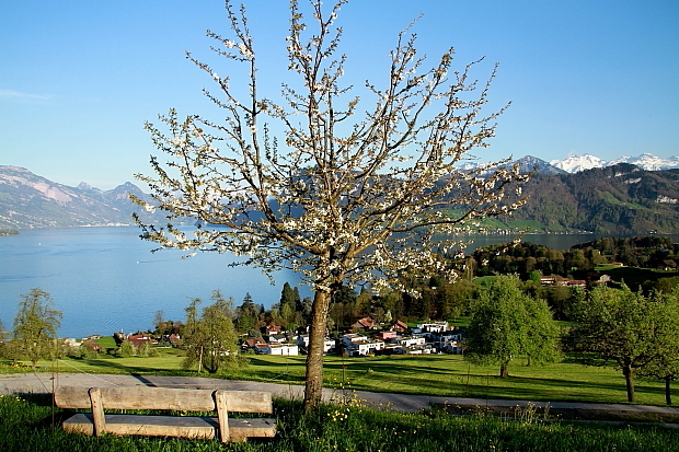 Bank mit Aussicht