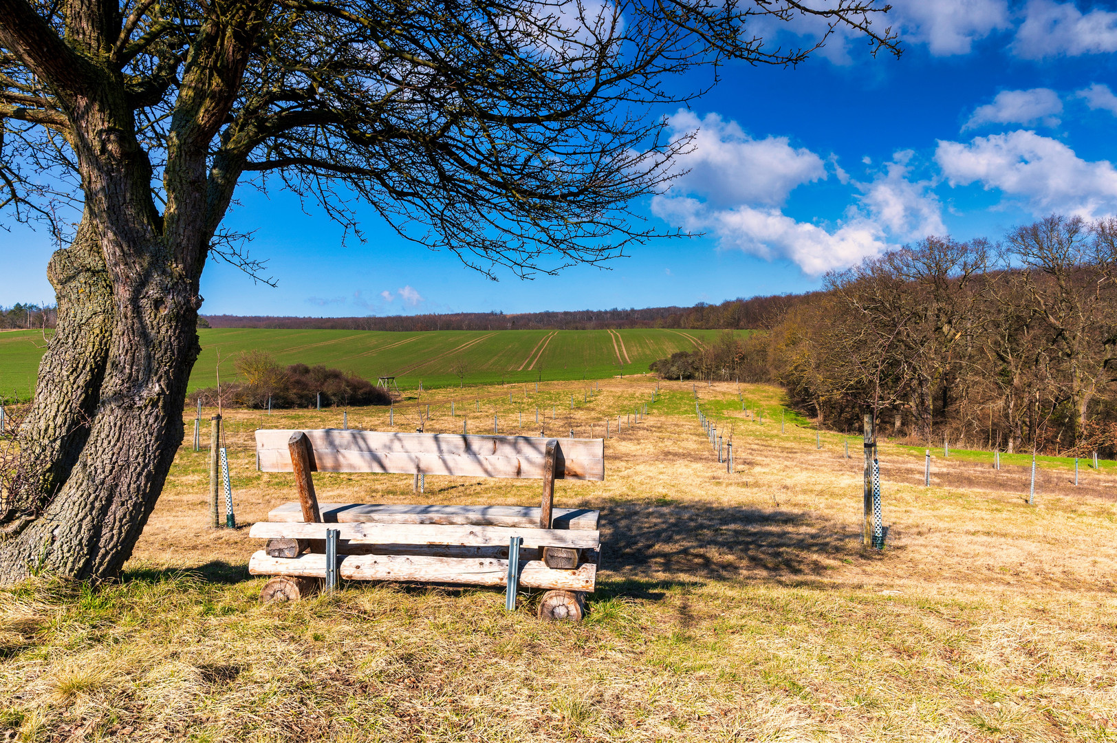 Bank mit Baum in Schöner Landschaft Foto & Bild landschaft, bänke in