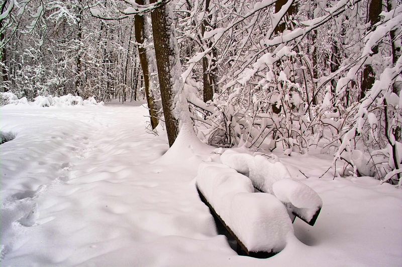 Bank mit Schnee