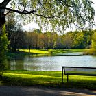 Bank mit Seeblick