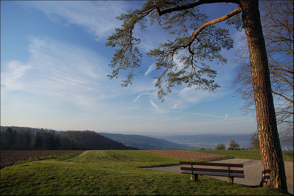 Bank mit Weitblick