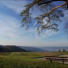 Bank mit Weitblick