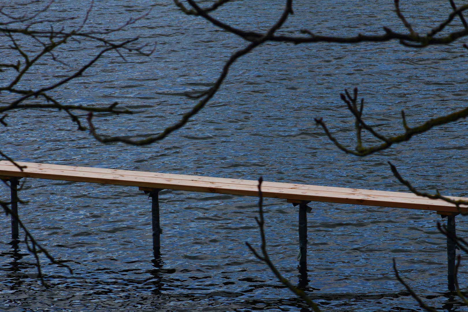 "Bank oder Brücke?"