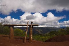 bank of hawaii