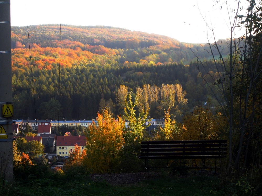 Bank umgeben von wunderschöner Landschaft