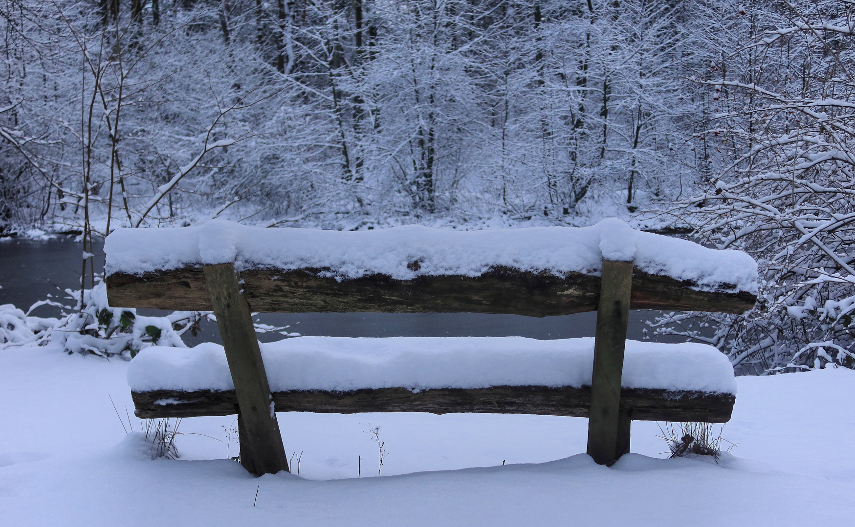 Bank und Schnee